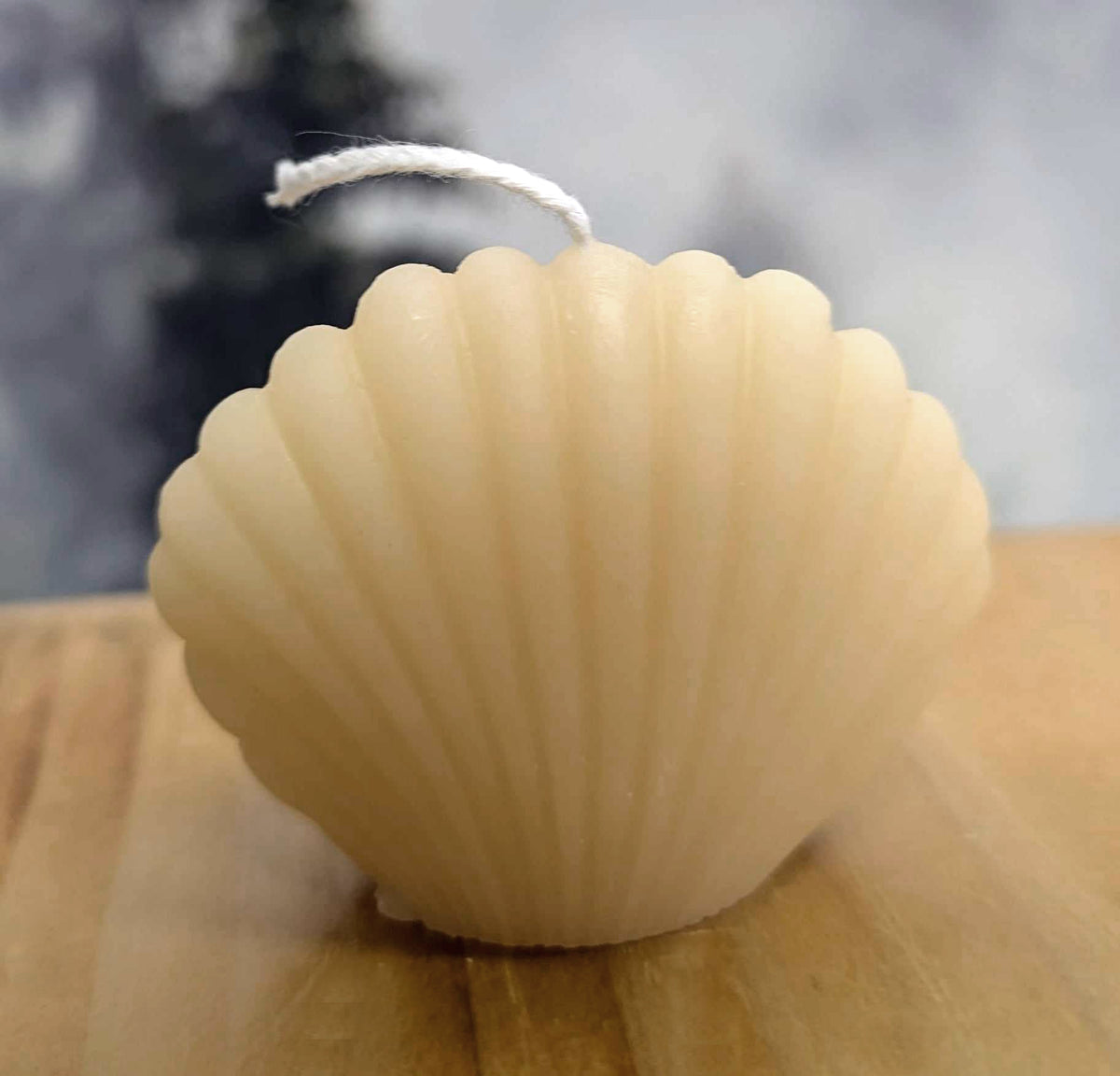 Bougies de soya - Coquillages (Reste seulement le blanc)