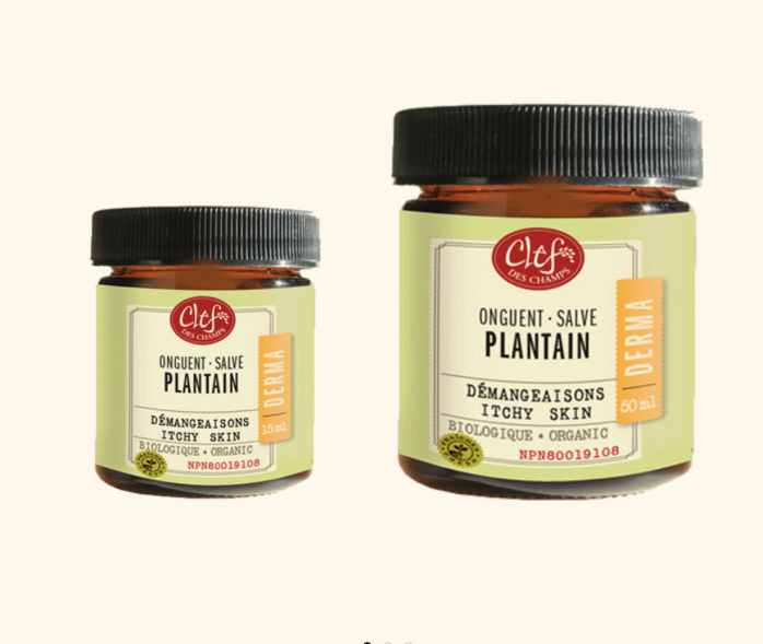 Onguent de Plantain - Démangeaisons - Clef des champs - 2 formats