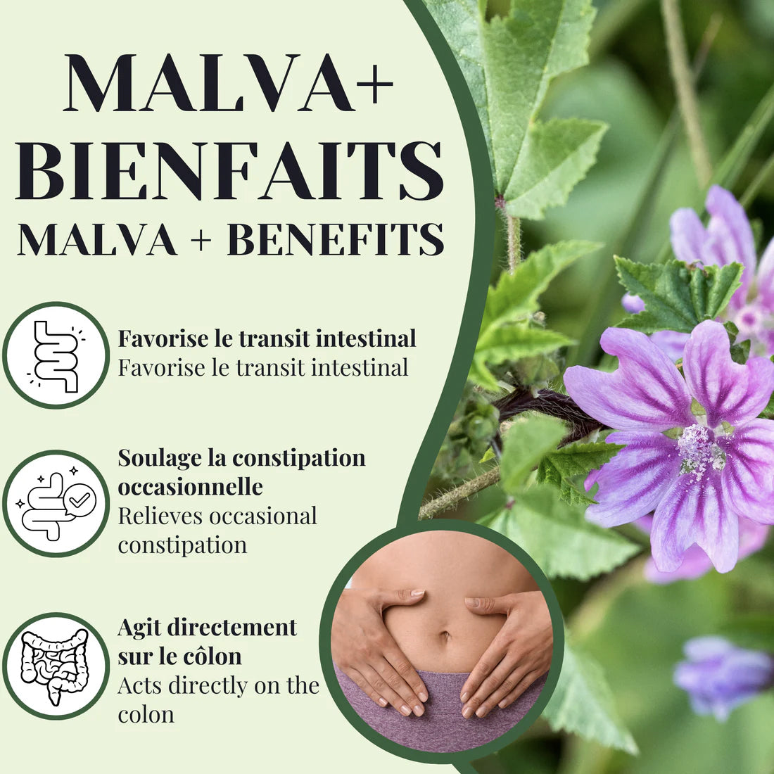 Tisane Malva + Séné - Laxatif - Phytovie - 25  ou 50 sachets