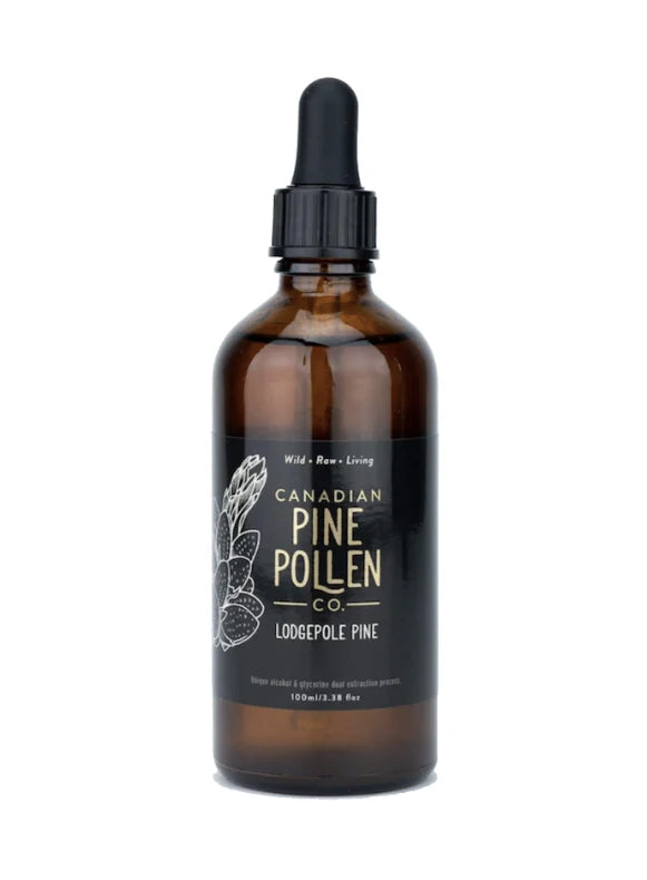 Lodgepole Pine (Pollen de pin) - Canadian Pine Pollen - 100ml