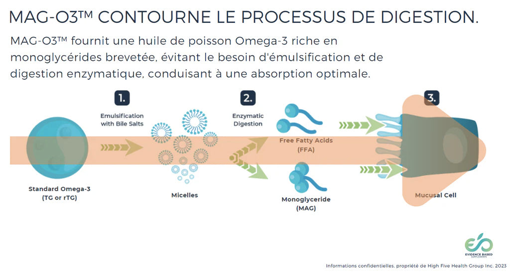 MAGO3 - Oméga-3 au Quotidien - EB Supplements - 30 ou 60 gélules