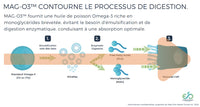 MAGO3 - Oméga-3 au Quotidien - EB Supplements - 30 ou 60 gélules