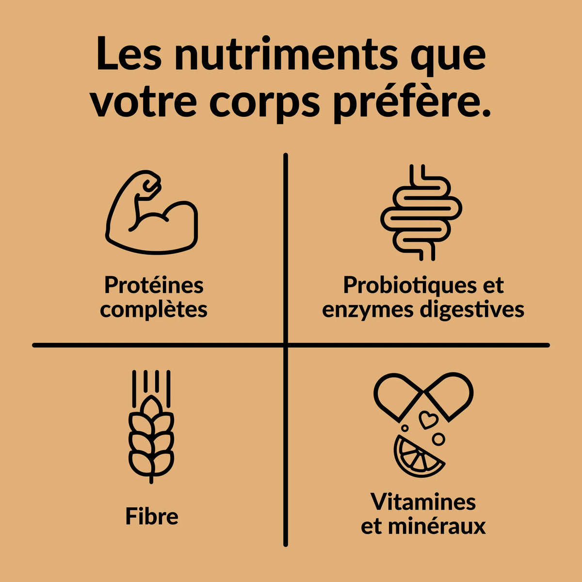 Protéines végétales - Boisson tout-en-un - Caramel Salé - Good Protein - 2 formats