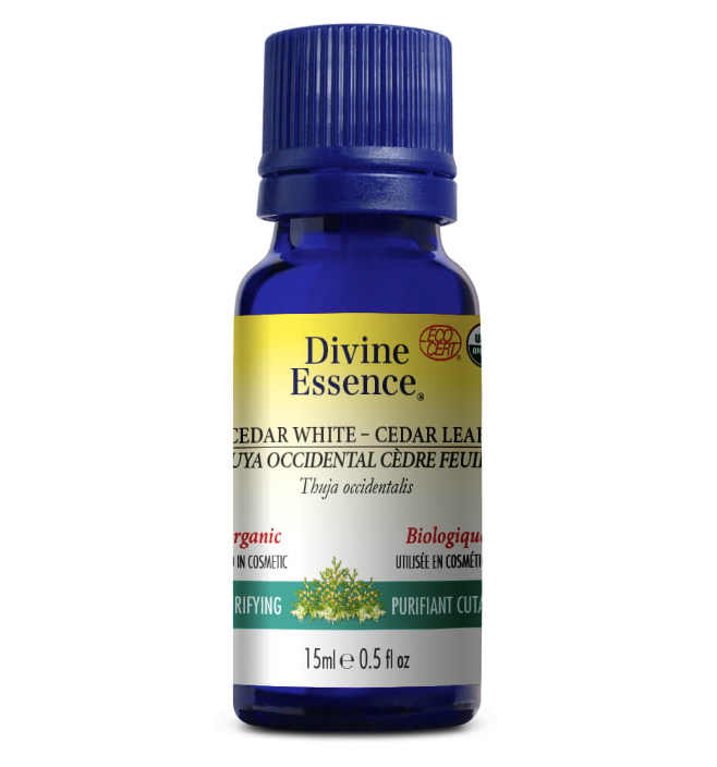 Thuya Occidental Cèdre Feuille - Divine Essence - 15ml